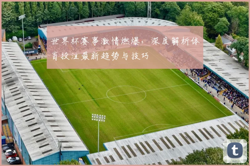 世界杯赛事激情燃爆，深度解析体育投注最新趋势与技巧