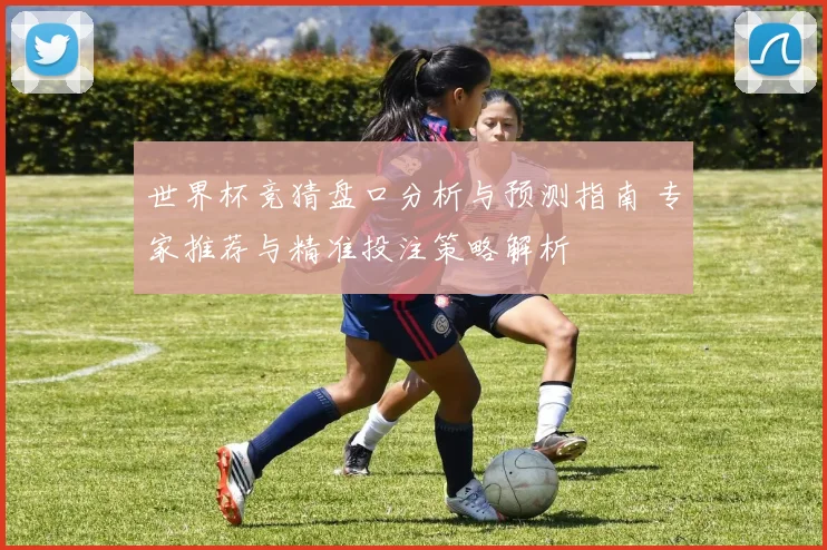 世界杯竞猜盘口分析与预测指南 专家推荐与精准投注策略解析