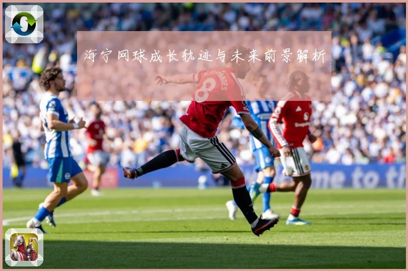 海宁网球成长轨迹与未来前景解析