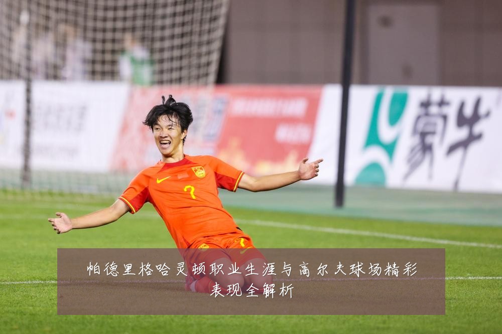 帕德里格哈灵顿职业生涯与高尔夫球场精彩表现全解析