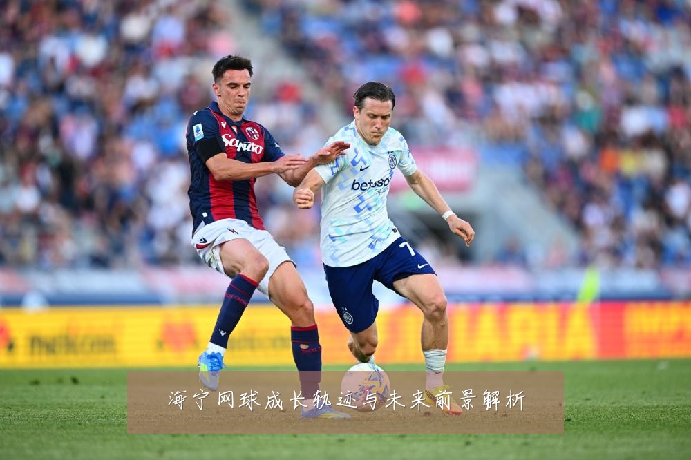 海宁网球成长轨迹与未来前景解析